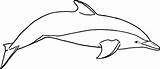 Dolphin Coloring Pages Printable Dolphins Killer Whale Outline Bottlenose Print Spinner Kids River Drawing Clipart Realistic Amazon Cliparts Color Templates sketch template