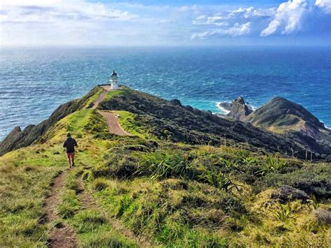 exploring  north island   zealand   leap travel