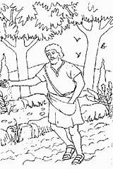 Mustard Seed Parable Sower sketch template