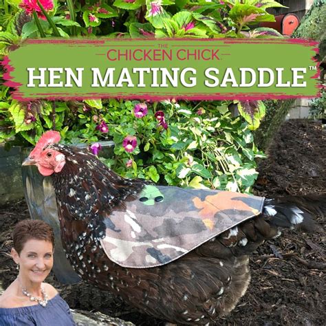 the chicken chick® hen mating saddle™ my favorite chicken