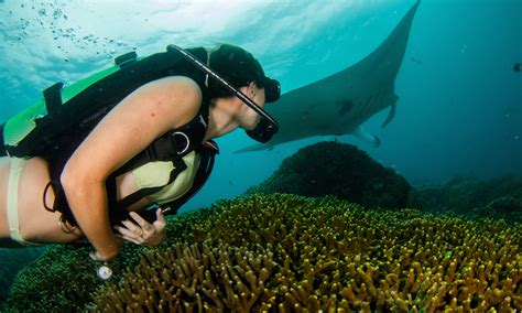 Scuba Diving A Girl S Guide To The Underwater World