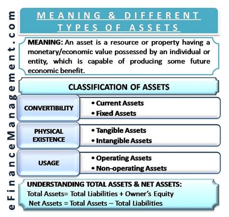 Meaning And Different Types Of Assets Classification And More