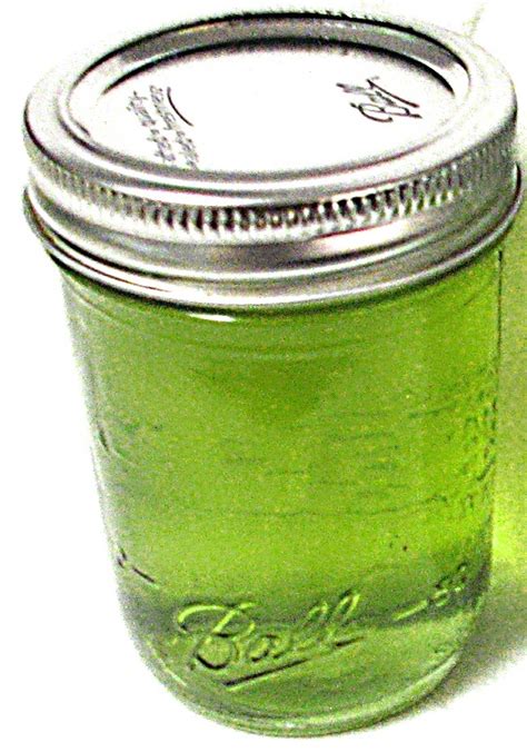 food preserving mint jelly