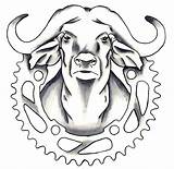 Drawing Buffalo Head Cape Carabao Drawings Philippine Clipartmag Paintingvalley Line sketch template