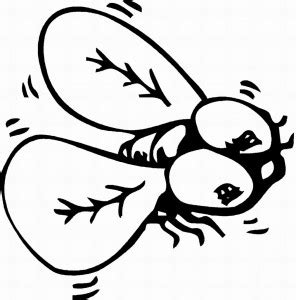 bug coloring pages images animal place