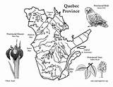 Quebec Province Canadian Location Map sketch template