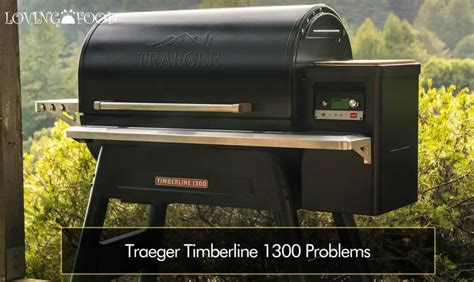 traeger timberline  problems   fix  loving food