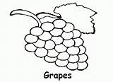 Coloring Grapes Outline Pages Kindergarten Library Clipart Bunch Fruits Popular sketch template