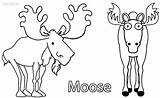 Moose Coloring Pages Christmas Elk Bull Printable Kids Cool2bkids Getcolorings Color Print Sheets sketch template