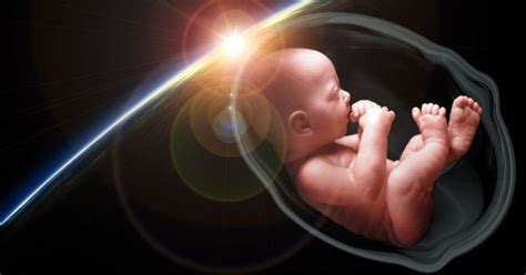 life   womb breathtaking video shows  months    minutes