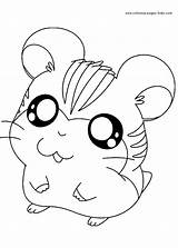 Pages Coloring Cartoon Hamtaro Color Print Printable Sheets Characters sketch template