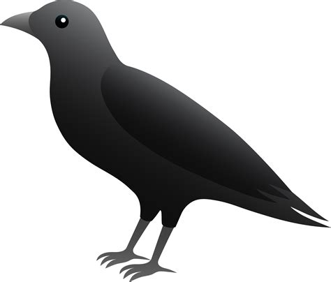 black crow illustration  clip art