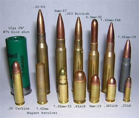ammo  gun collector     common ammunition compared  size