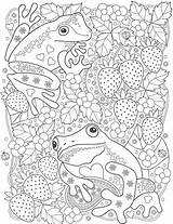 Coloring Frog Pages Adult Adults Zentangle Printable Color Mandala Cute sketch template