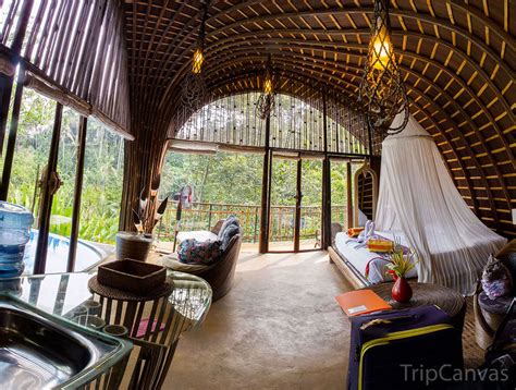 the ultimate guide to ubud accommodation where to stay