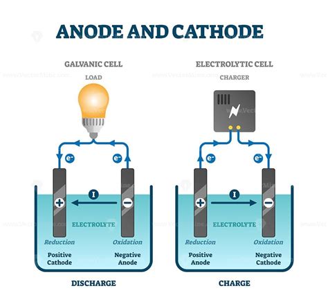 anode  cathode scientific physics education diagram vector illustration labeled scheme