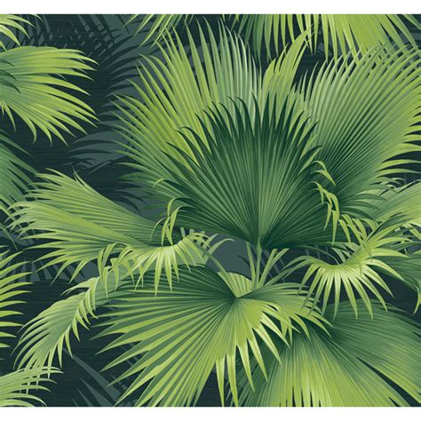 summer palm dark green tropical wallpaper   street prints
