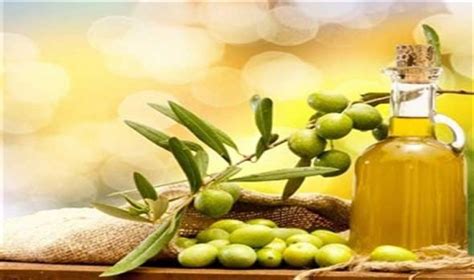 top  wholesale mini olive oil suppliers   respected