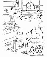 Baby Coloring Pages Cows Eat Breakfast Color sketch template