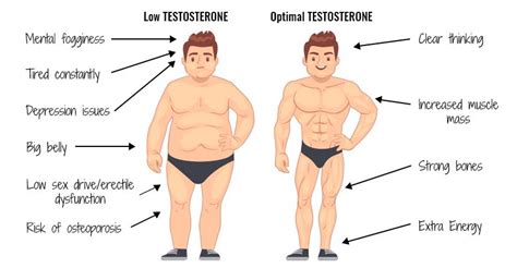 testosterone the fuelling factor men only bobspeaks