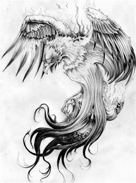 pin  jonathon  vpms phoenix tattoo phoenix bird tattoos phoenix