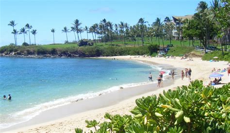 kapalua bay beach west maui hawaii ultimate guide january