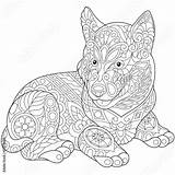 Coloring Husky Adult Dog Puppy Cute Zentangle Book Stress Anti Stylized Freehand Doodle Elements Sketch Comp Contents Similar Search sketch template