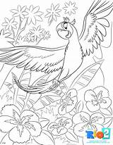 Rio Coloring Pages Printable Blu Sheets Para Colorear Print Kids Colouring Color Movie Disney Bird Rio2 Printables Cartoon Dibujos Drawings sketch template