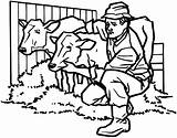 Farmer Cows Crops Signspecialist Checking Sticker sketch template
