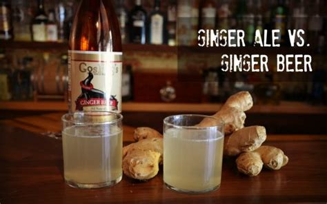 what`s the difference between ginger ale and ginger beer