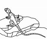 Lizard Colorear Collared Lagartos Lagarto Preposition Designlooter Reptile sketch template