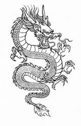 Dragon Tattoo Line Thin Drawing Outline Japanese Leg Chinese Dragons Designs Sketch Tattoos Small Women Choose Board sketch template
