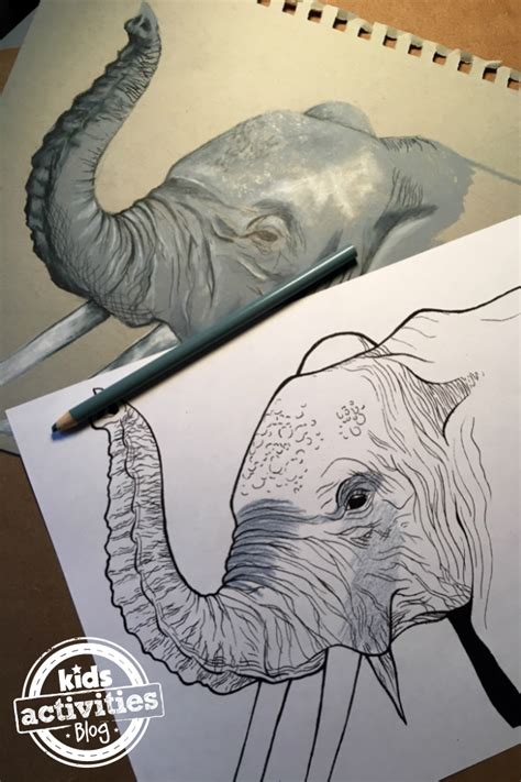 elephant coloring pages  kids kids activities blog