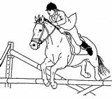 Jumping Cheval Obstacle Saut Ancenscp sketch template