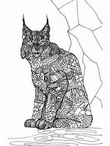 Lynx Zentangle sketch template