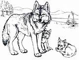 Wolf Coloring Pages Cub Howling Printable Drawing Color Wolves Sheets Mandala Getdrawings Getcolorings Print Wolfs Head sketch template