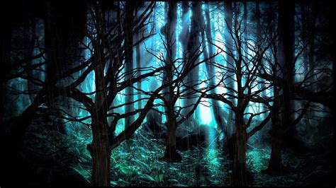 dark forest background  pictures