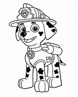 Coloring Paw Patrol Pages Comments sketch template