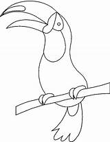 Toucan Coloring Bird Pages Printable Getcolorings Color sketch template