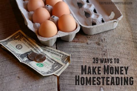 39 Ways To Make Money Homesteading • The Prairie Homestead