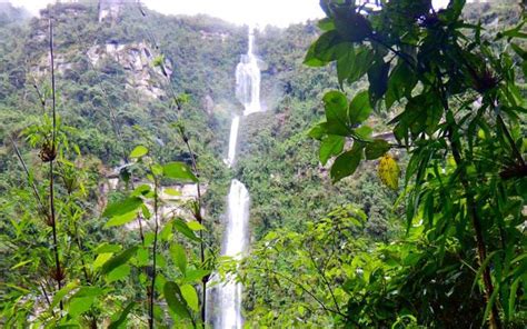 cascada la chorrera una caminata ecologica ecoturismo colombia ecoglobal expeditions