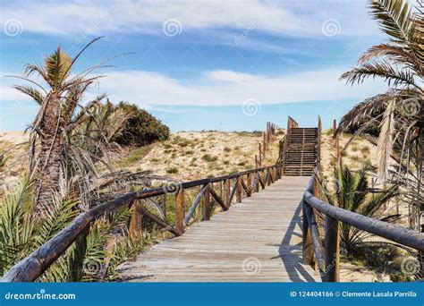 wooden path  steps  sand dunes   beach stock photo image