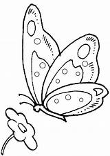 Colouring Butterfly Pages Online Traceables Sherpa Para Embroidery Coloring Patterns Colorear Printable Drawing Pintar Kidspot Au Search Google Template Artigo sketch template