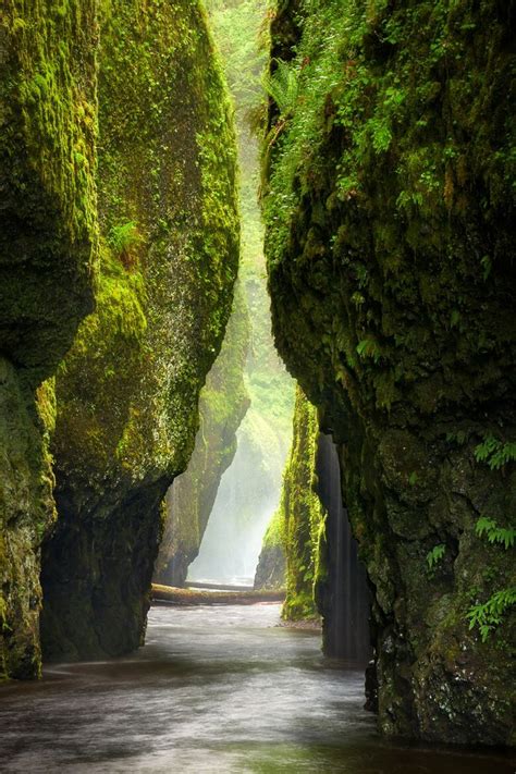 oneonta gorge oregon looks like the most amazing place ever can t choose between this or the