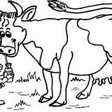 Cow Dairy Coloring Pages Milk Drink Boy Little Netart sketch template