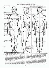Loomis Anatomy sketch template