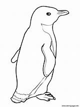 Penguin Ice Coloring Pages F534 Printable Sliding Template sketch template