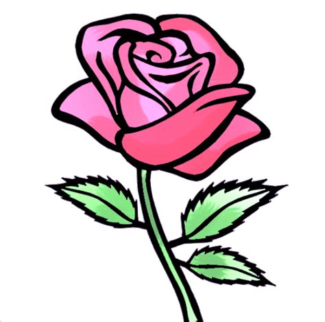 gambar  menggambar bunga mawar wikihow gambar animasi