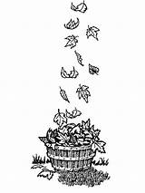 Leaf Fall Bucket Coloring Wooden sketch template