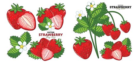 strawberry with leaves vector clipart free download